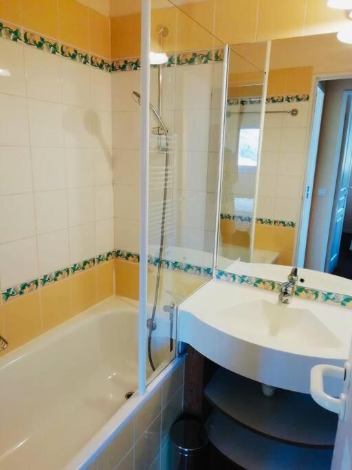 Pied Des Pistes Apartment *